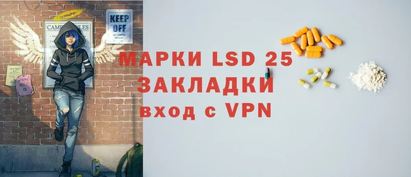 ГАЛЛЮЦИНОГЕННЫЕ ГРИБЫ Аркадак