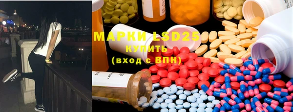 ГАЛЛЮЦИНОГЕННЫЕ ГРИБЫ Аркадак